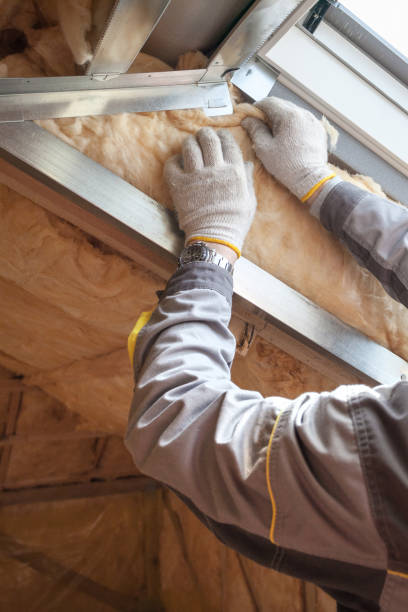 Best Radiant Barrier Insulation  in Los Lunas, NM