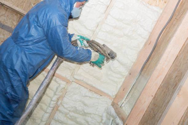 Best Insulation for New Construction  in Los Lunas, NM