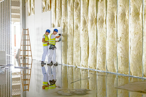 Best Commercial Insulation Services  in Los Lunas, NM